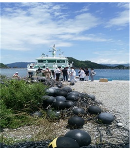 宇和海