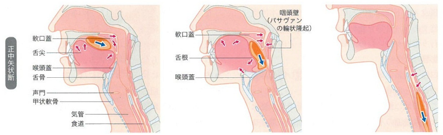 嚥下障害の画像2