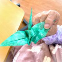nyusyoriha-origami-syasin
