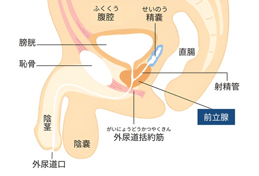 図1-1