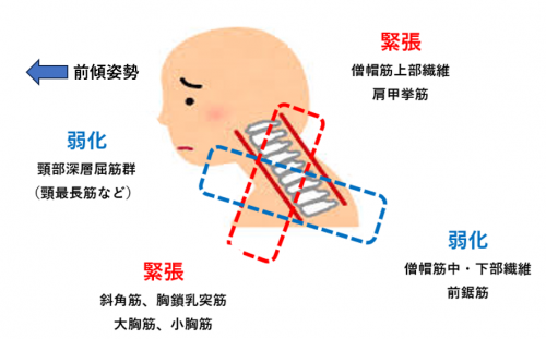 頸部