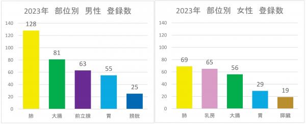 部位別登録数