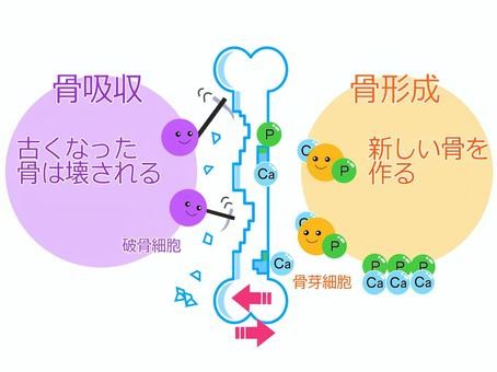 リンのお話