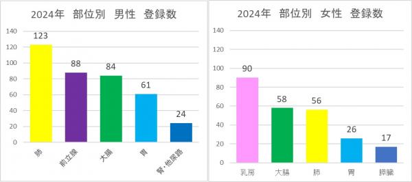 男女別登録数