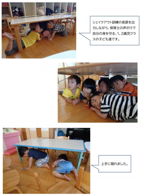 シェイクアウト